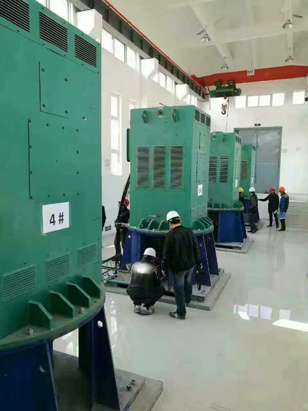 Y5603-10某污水处理厂使用我厂的立式高压电机安装现场