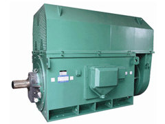 Y5603-10Y系列6KV高压电机